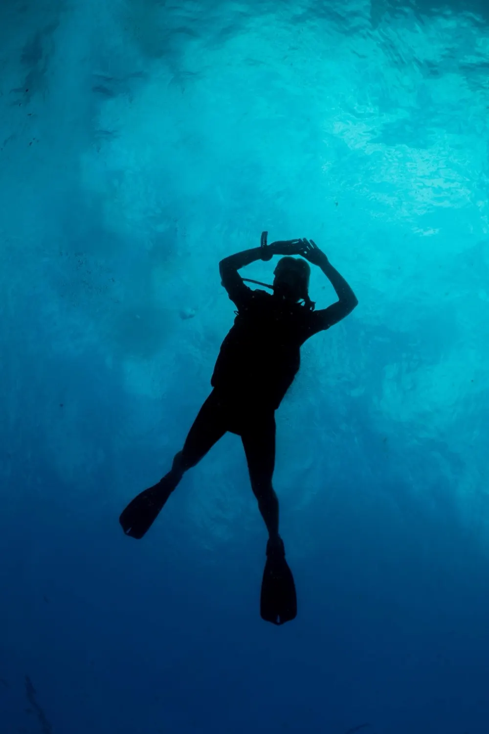 A diver in silhouette against the blue water off Koh Tao